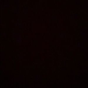 Meet your Posher, Travis